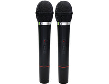 Load image into Gallery viewer, MR DJ MIC3250 Wireless Dual Handheld design Microphone System