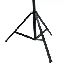 Load image into Gallery viewer, MR TRUSS TST200 10 Foot Pro Crank Light Stand Pro Lighting &amp; T-Bar